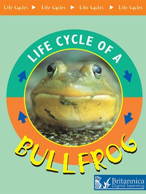 cover image of Bullfrog
